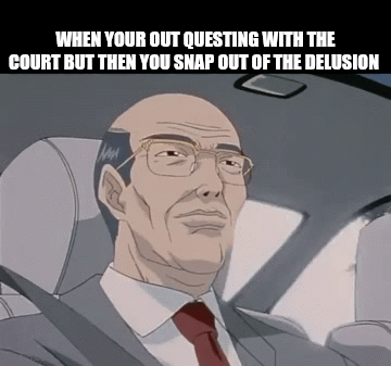 WHEN YOUR OUT QUESTING WITH THE COURT BUT THEN YOU SNAP OUT OF THE DELUSION