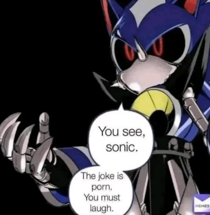 You see, sonic. The joke is p---. You must laugh. HEMES