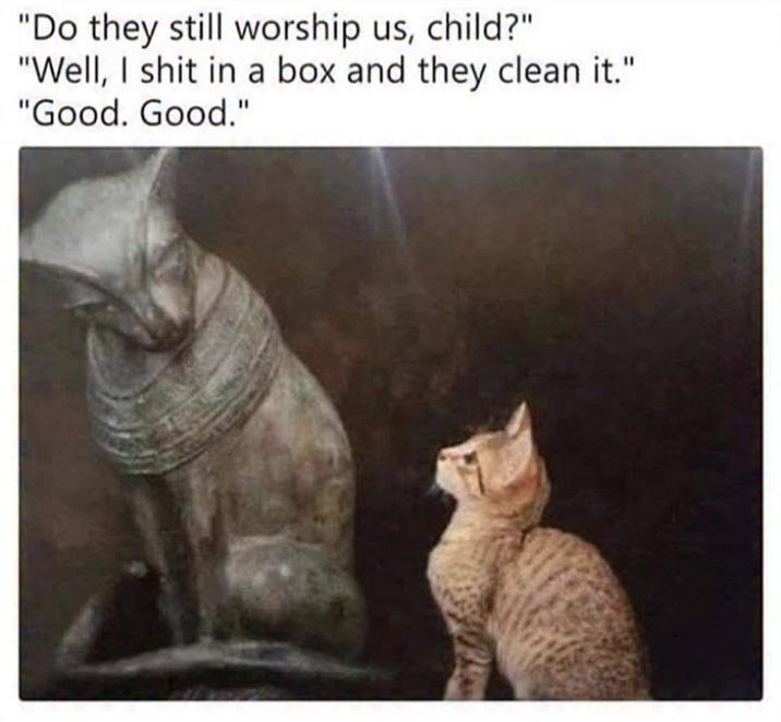 "Do they still worship us, child?" "Well, I s--- in a box and they clean it." "Good. Good."