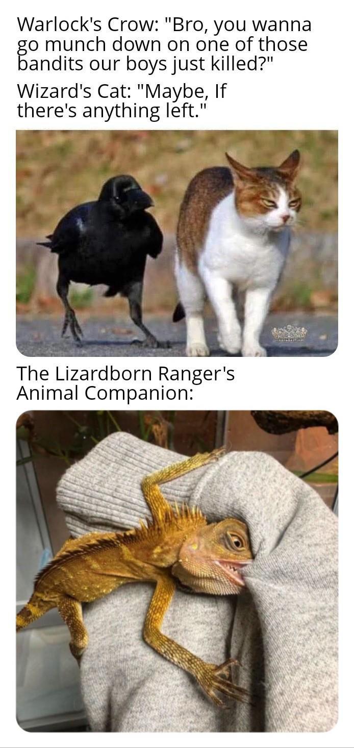 Warlock's Crow: "Bro, you wanna go munch down on one of those bandits our boys just killed?" Wizard's Cat: "Maybe, If there's anything left." The Lizardborn Ranger's Animal Companion: