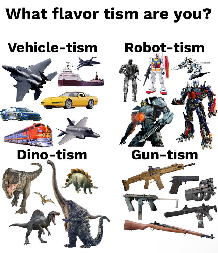What flavor tism are you? Vehicle-tism 306 Robot-tism Dino-tism Gun-tism J