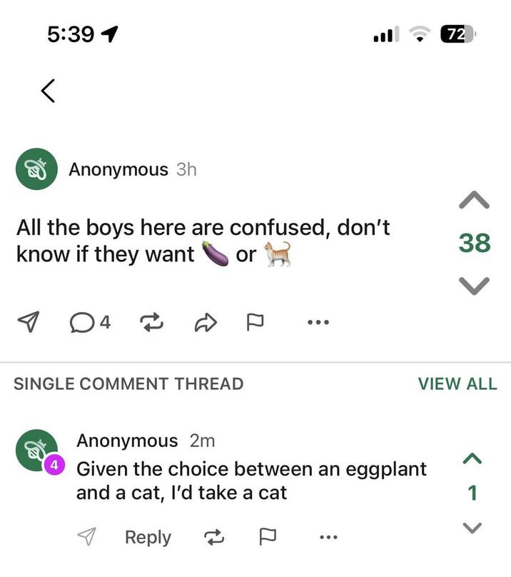 5:39 1 Anonymous 3h All the boys here are confused, don't know if they want or 4 € SINGLE COMMENT THREAD 72 38 < 80 >> VIEW ALL Anonymous 2m Given the choice between an eggplant and a cat, I'd take a cat Reply ~ < - >