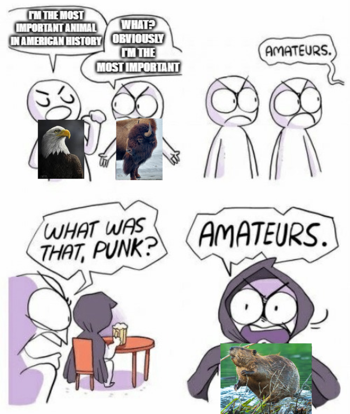 TM THE MOST IMPORTANT ANIMAL IN AMERICAN HISTORY WHAT? OBVIOUSLY I'M THE MOST IMPORTANT AMATEURS. WHAT WAS THAT, PUNK? AMATEURS.