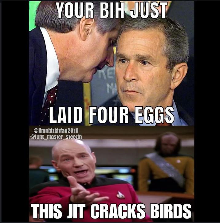 The original This Jit Cracks Birds "meme":https://knowyourmeme.com/memes/memes, showing "George Bush Learning About 9/11":https://knowyourmeme.com/memes/george-bush-learning-about-911 in the top half with an "Impact":https://knowyourmeme.com/memes/impact font caption reading, "Your bih just laid four eggs," and "_Star Trek_":https://knowyourmeme.com/memes/subcultures/star-trek character "Jean-Luc Picard":https://knowyourmeme.com/memes/jean-luc-picard--2 (played by actor Patrick Stewart) in the "Annoyed Picard":https://knowyourmeme.com/memes/annoyed-picard format in the bottom half with a caption reading, "This jit cracks birds."