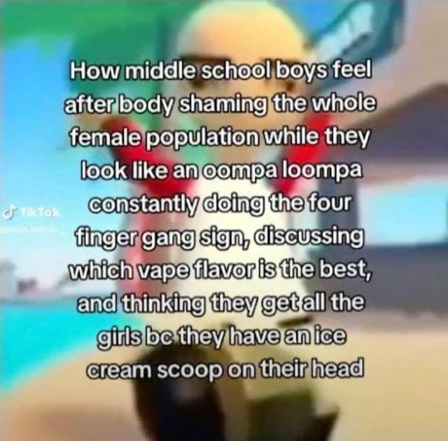 How middle school boys feel after body shaming the whole female population while they look like an oompa loompa Tik Tok constantly doing the four finger gang sign, discussing which vape flavor is the best, and thinking they get all the girls be they have an ice cream scoop on their head