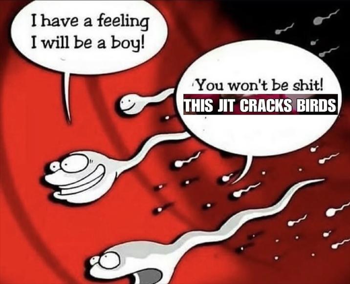 An "Instagram":https://knowyourmeme.com/memes/sites/instagram post from user @flongus, which uses the "Two Sperm Cells Talking":https://knowyourmeme.com/memes/two-sperm-cells-talking format.