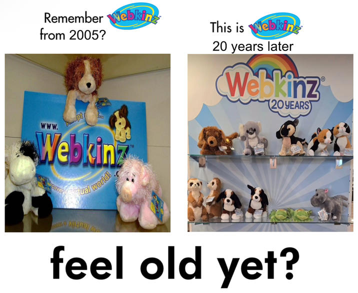 Remember Webkinz from 2005? This is Webkinz 20 years later Webkinz (20 YEARS www. pt Webkin Cover Artual world! COAGL TM feel old yet?