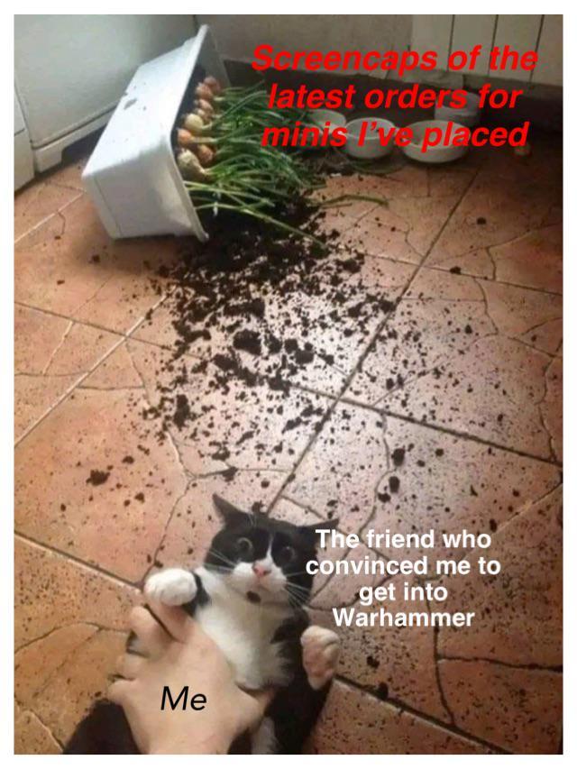 Me Screencaps of the latest orders for minis P placed The friend who convinced me to get into Warhammer