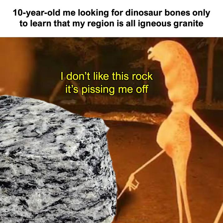 10-year-old me looking for dinosaur bones only to learn that my region is all igneous granite I don't like this rock it's pissing me off