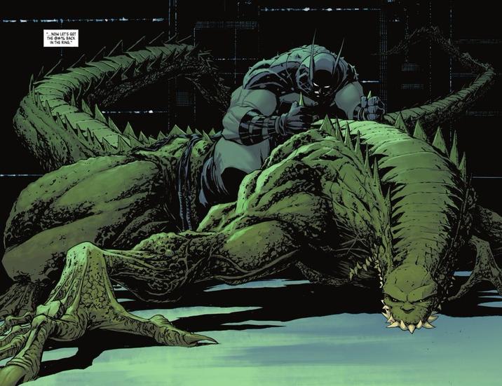 NOW LET'S GET THE BACK IN THE RING