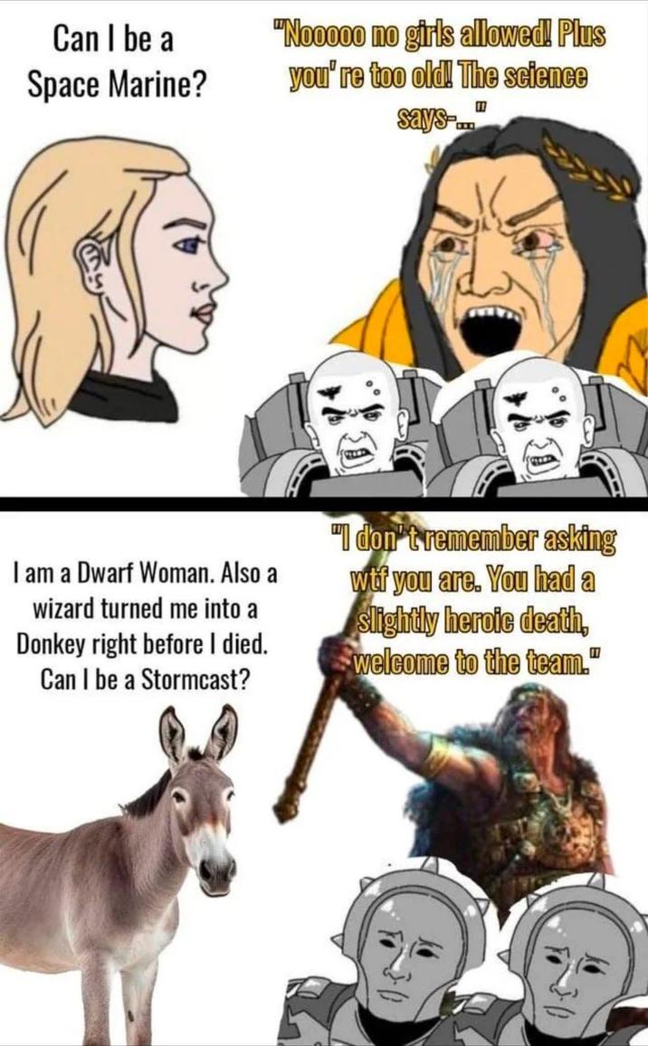 Can I be a Space Marine? "Nooooo no girls allowed! Plus you're too old! The science says-... I am a Dwarf Woman. Also a wizard turned me into a Donkey right before I died. Can I be a Stormcast? "I don't remember asking w-- you are. You had a slightly heroic death, welcome to the team."