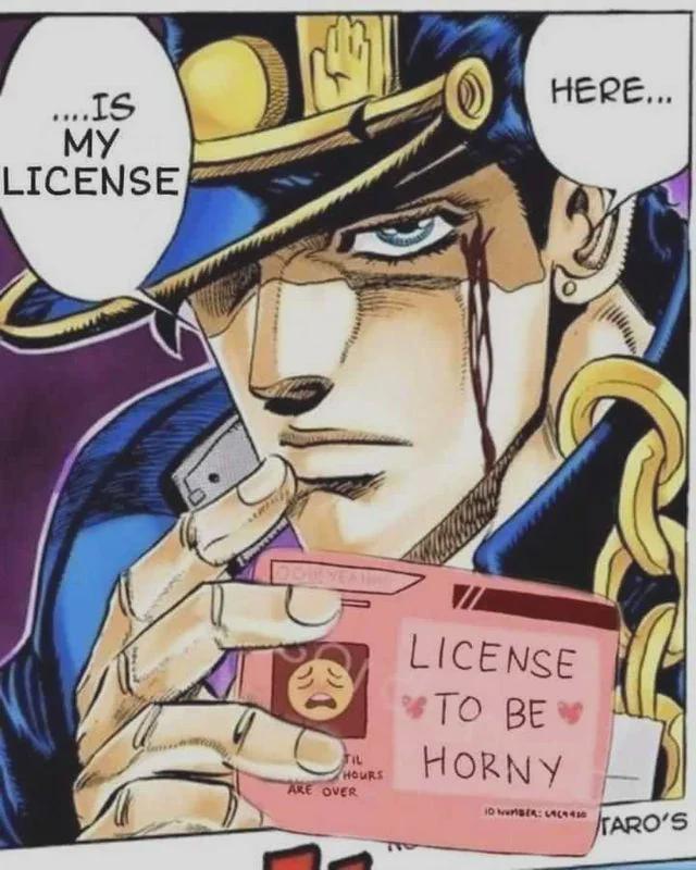 ....IS MY LICENSE HERE... DONE YEA FIL HOURS ARE OVER LICENSE TO BE HORNY 10 NUMBER: LAC TARO'S