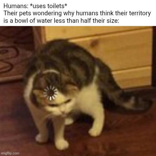 Humans: *uses toilets* Their pets wondering why humans think their territory is a bowl of water less than half their size: imgflip.com