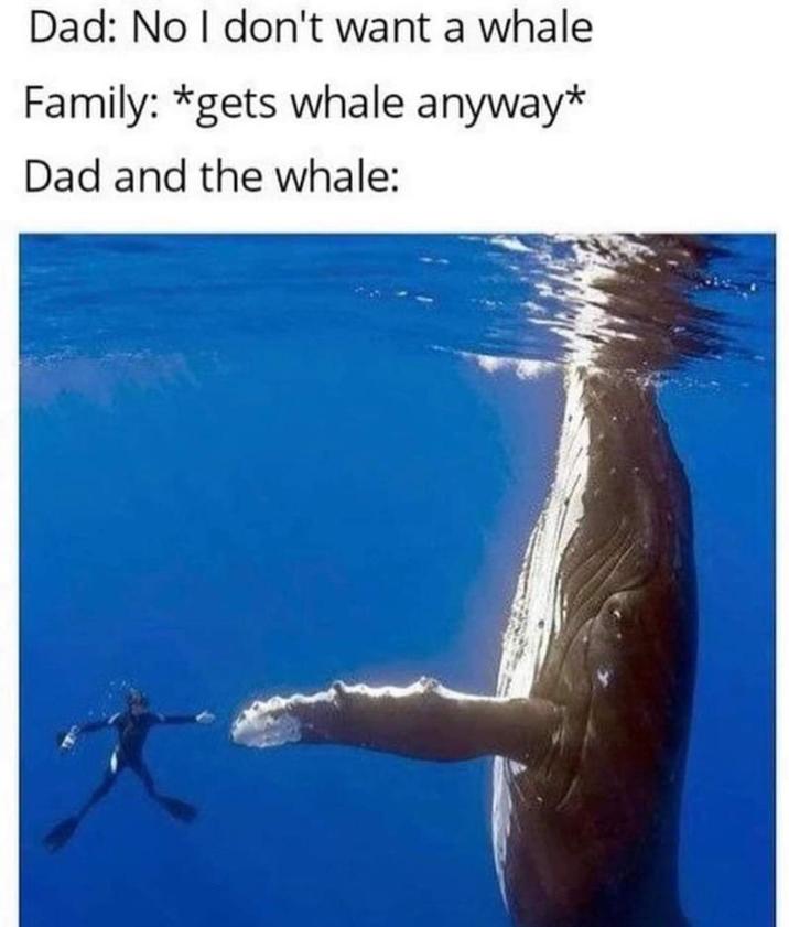 Dad: No I don't want a whale Family: *gets whale anyway* Dad and the whale: