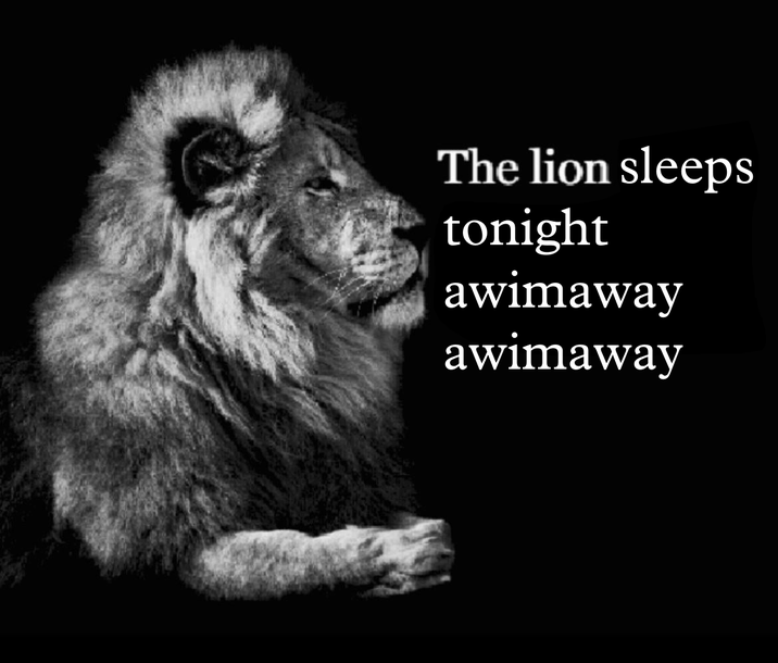 The lion sleeps tonight awimaway awimaway