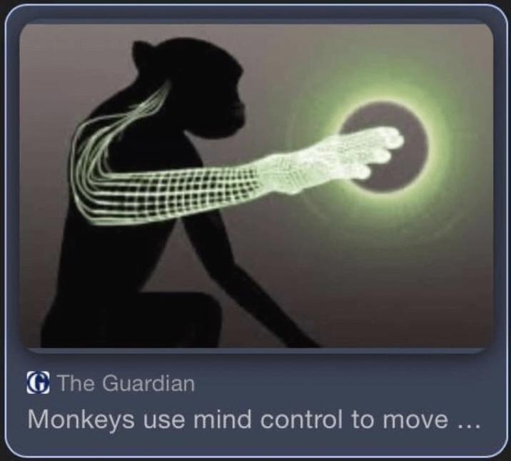 The Guardian Monkeys use mind control to move ...