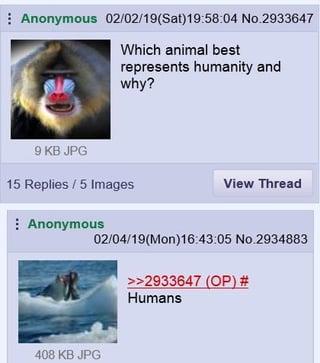 Anonymous 02/02/19(Sat) 19:58:04 No.2933647 Which animal best represents humanity and why? 9 KB JPG 15 Replies / 5 Images Anonymous View Thread 02/04/19(Mon)16:43:05 No.2934883 408 KB JPG >>2933647 (OP) # Humans