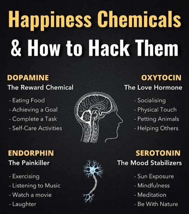 Happiness Chemicals & How to Hack Them DOPAMINE The Reward Chemical - Eating Food - Achieving a Goal - Complete a Task - Self-Care Activities OXYTOCIN The Love Hormone - Socialising - Physical Touch - Petting Animals - Helping Others ENDORPHIN The Painkiller - Exercising - Listening to Music - Watch a movie - Laughter SEROTONIN The Mood Stabilizers - Sun Exposure - Mindfulness - Meditation - Be With Nature