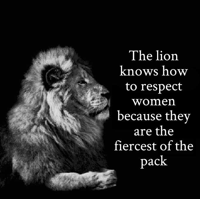 The lion knows how to respect women because they are the fiercest of the pack