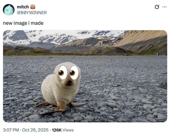 mitch @BOYWINNER new image i made . 3:07 PM Oct 26, 2025 126K Views Antarctic Fur Seal Pup OKER/SuperSteck