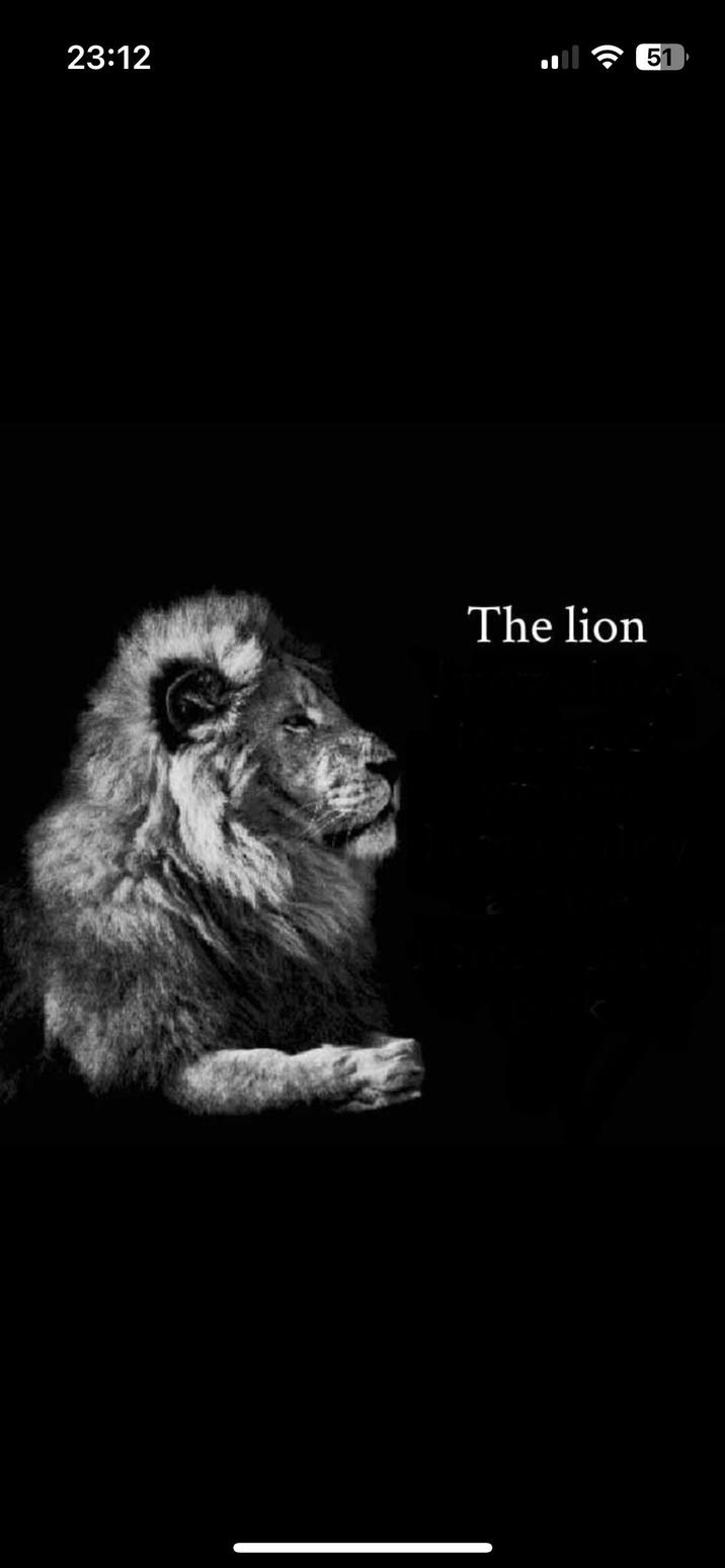51 23:12 The lion