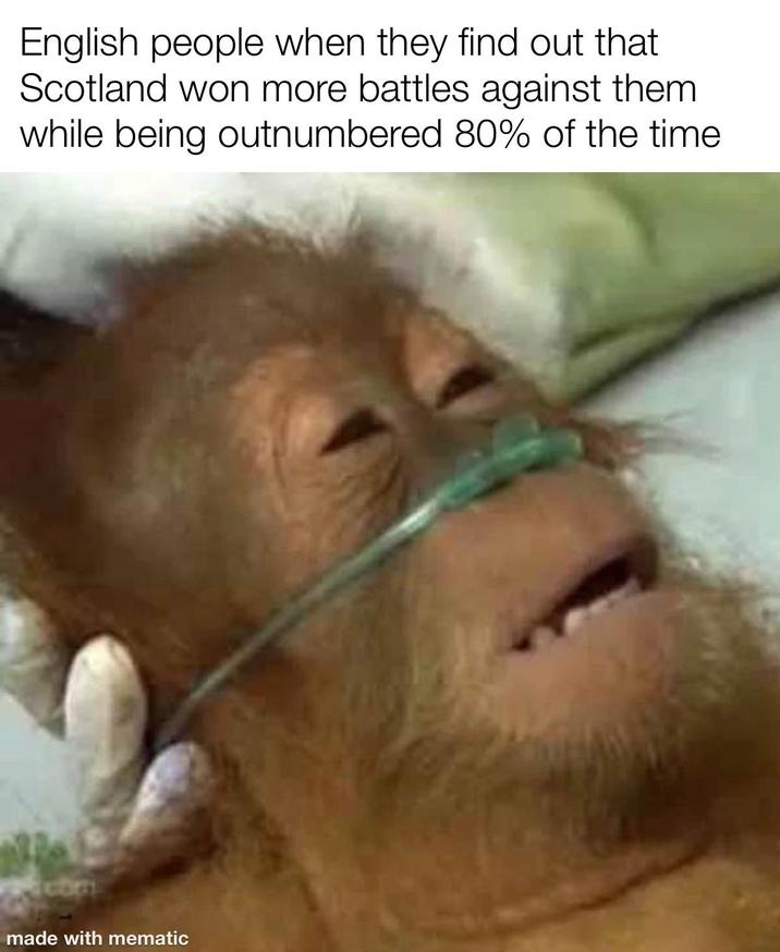 English people when they find out that Scotland won more battles against them. while being outnumbered 80% of the time made with mematic