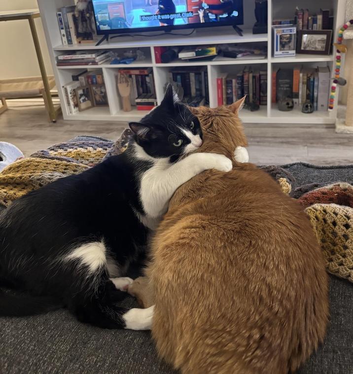 thought it was great, Clark