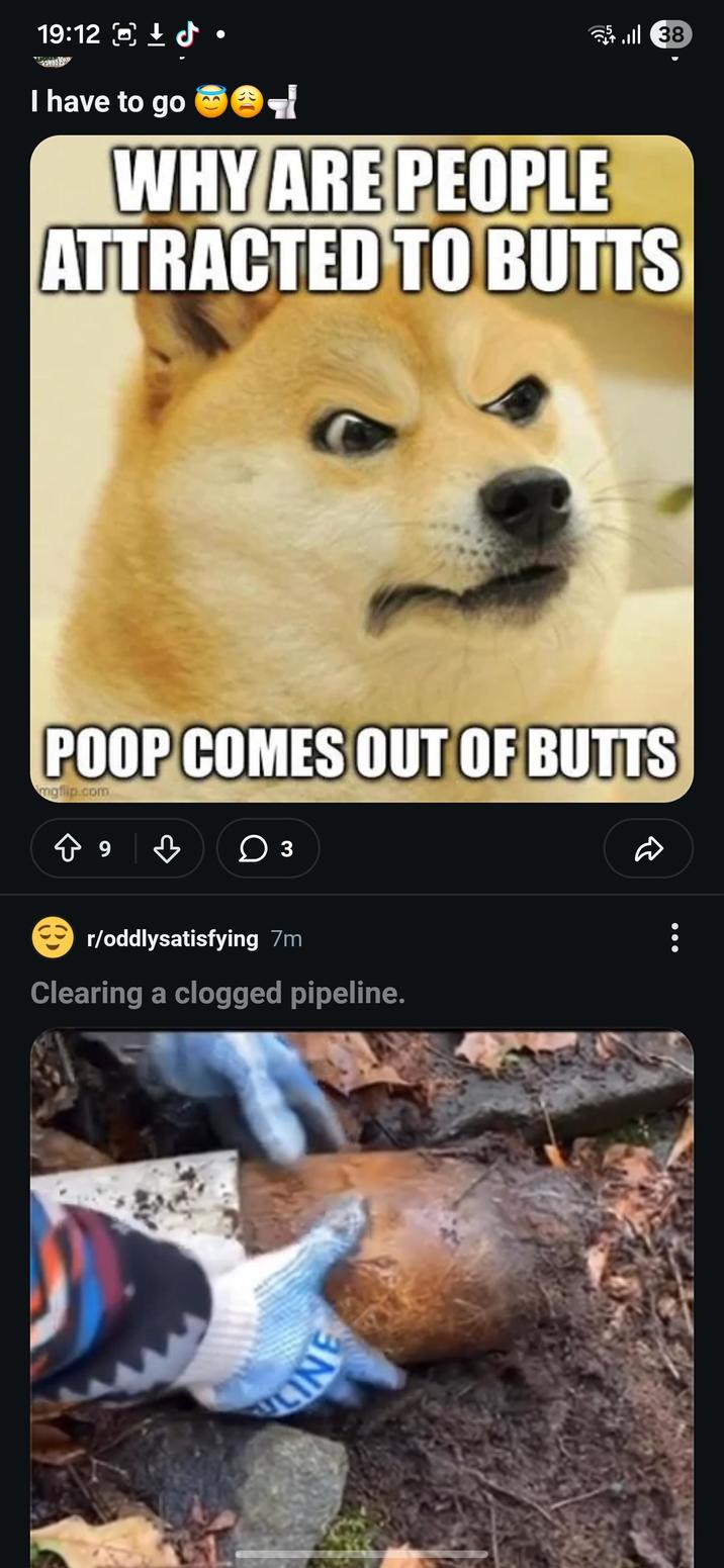 19:12 · I have to go t ill 38 WHY ARE PEOPLE ATTRACTED TO BUTTS POOP COMES OUT OF BUTTS mgflip.com в ○ 3 r/oddlysatisfying 7m Clearing a clogged pipeline. LINE