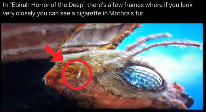 In "Ebirah Horror of the Deep" there's a few frames where if you look very closely you can see a c-------- in Mothra's fur
