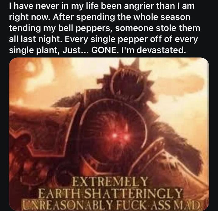 I have never in my life been angrier than I am right now. After spending the whole season tending my bell peppers, someone stole them all last night. Every single pepper off of every single plant, Just... GONE. I'm devastated. EXTREMELY EARTH SHATTERINGLY UNREASONABLY F----ASS MAD