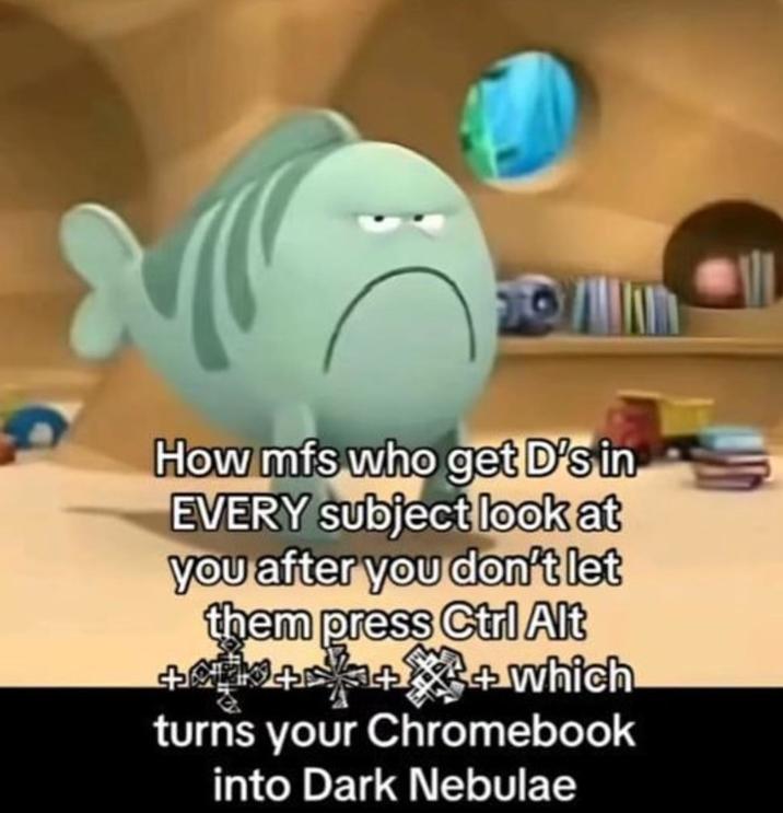 How mfs who get D's in EVERY subject look at you after you don't let them press Ctrl Alt ++which turns your Chromebook into Dark Nebulae