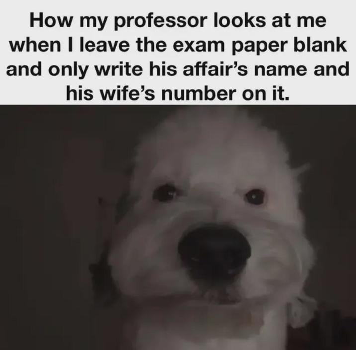 How my professor looks at me when I leave the exam paper blank and only write his affair's name and his wife's number on it.