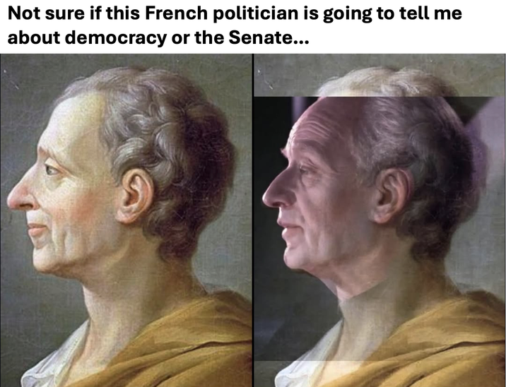 Not sure if this French politician is going to tell me about democracy or the Senate...