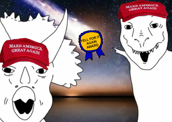 MAKE AMERICA GREAT AGAIN FELL FOR IT AGAIN AWARD MAKE AMERICA GREAT AGAIN