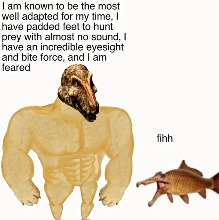 I am known to be the most well adapted for my time, I have padded feet to hunt prey with almost no sound, I have an incredible eyesight and bite force, and I am feared fihh
