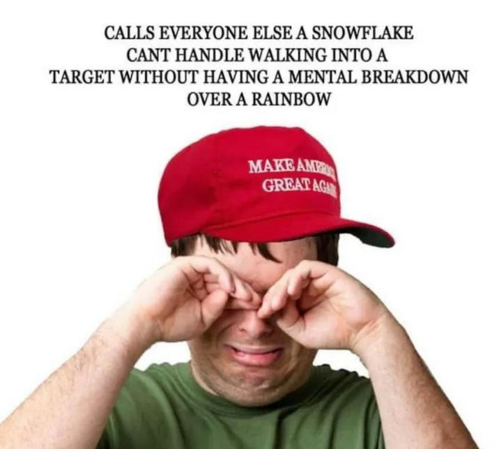 CALLS EVERYONE ELSE A SNOWFLAKE CANT HANDLE WALKING INTO A TARGET WITHOUT HAVING A MENTAL BREAKDOWN OVER A RAINBOW MAKE AMER GREAT AGA