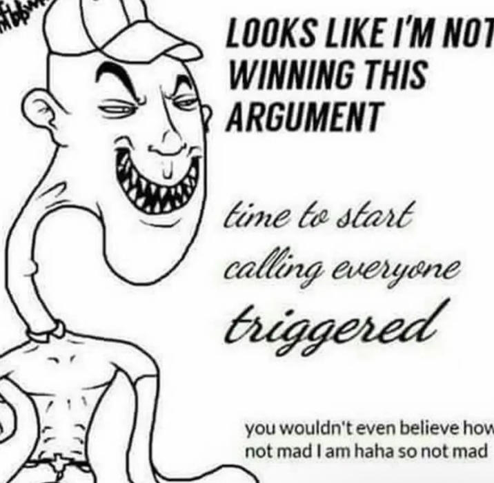 LOOKS LIKE I'M NOT WINNING THIS ARGUMENT time to start calling everyone triggered you wouldn't even believe how not mad I am haha so not mad