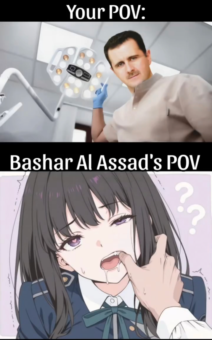 Your POV: Bashar Al Assad's POV