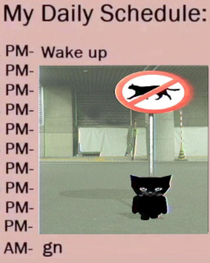 My Daily Schedule: PM- Wake up PM- PM- PM- PM- PM- PM- PM- PM- PM- AM- gn