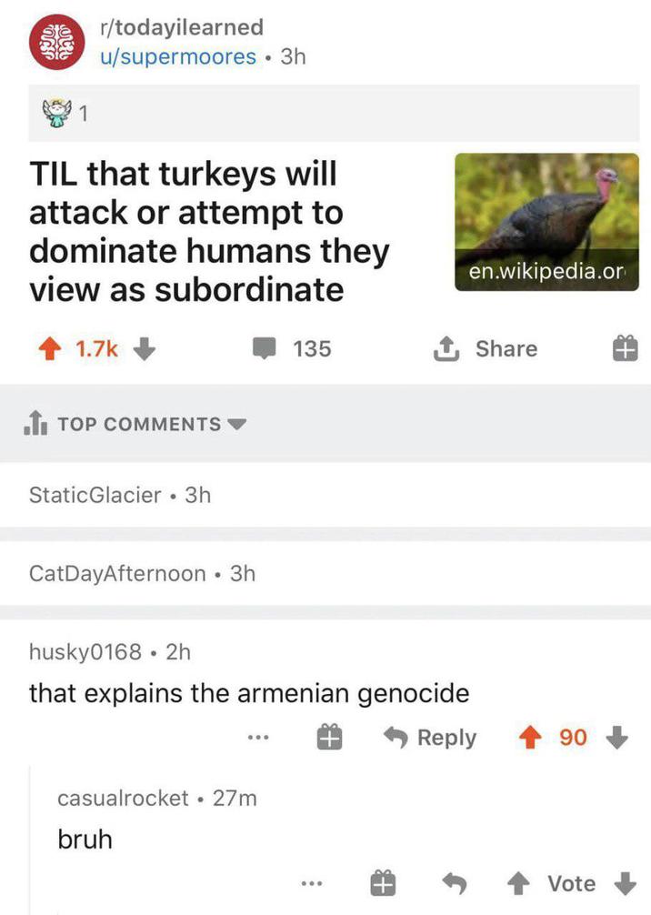 ՊՐՈ 1 r/todayilearned u/supermoores • 3h TIL that turkeys will attack or attempt to dominate humans they view as subordinate 1.7k ■TI TOP COMMENTS Static Glacier • 3h CatDayAfternoon ⚫ 3h en.wikipedia.or 135 ↑ Share husky0168 2h that explains the armenian genocide casualrocket • 27m bruh Reply 90 Vote