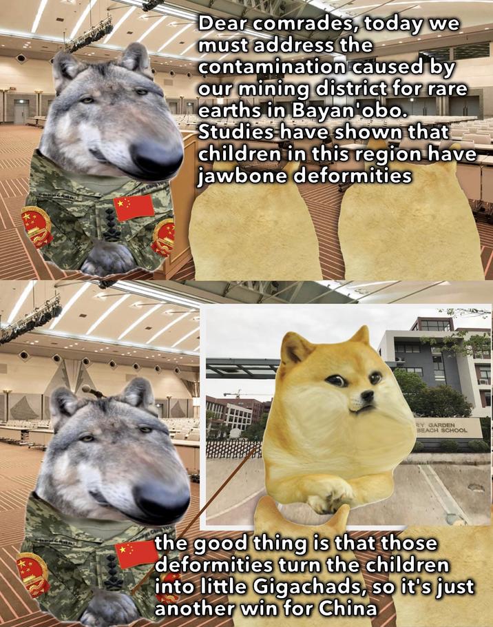 Dear comrades, today we must address the contamination caused by our mining district for rare earths in Bayan'obo. Studies have shown that children in this region have jawbone deformities 7777 RY GARDEN BEACH SCHOOL the good thing is that those deformities turn the children into little Gigachads, so it's just another win for China