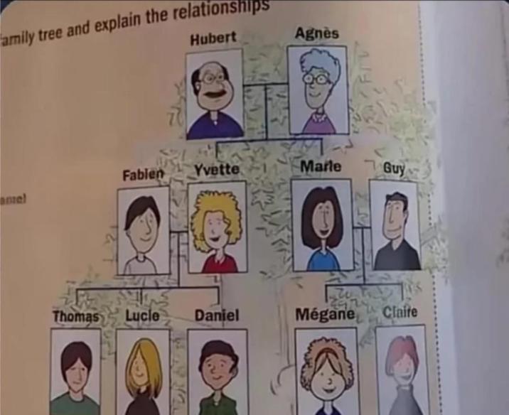 amily tree and explain the relationships Hubert Agnès Fabien Yvette Marle Guy amel Thomas Lucle Daniel Mégane Claire