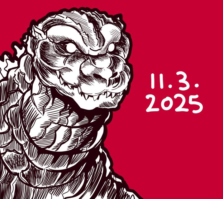 11.3. 2025