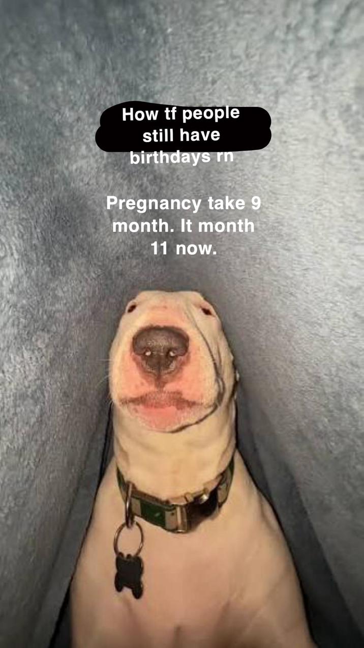 How tf people still have birthdays rn Pregnancy take 9 month. It month 11 now.