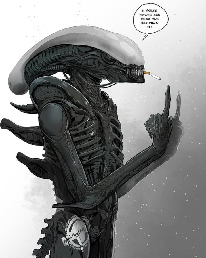 KS. BOO MJ.HIBLEN IN SPACE, NO-ONE CAN HEAR YOU SAY F---- IT!