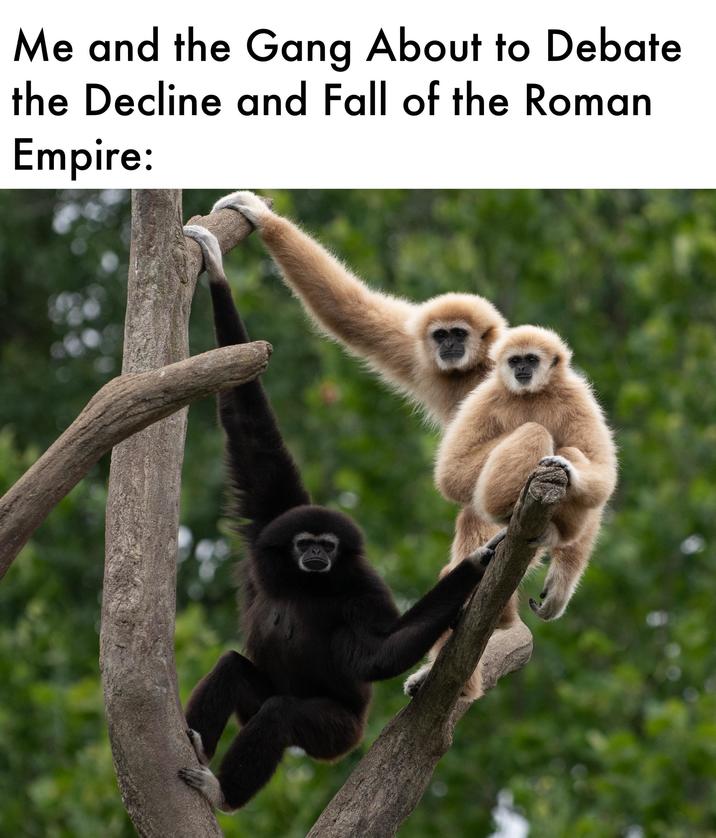 Me and the Gang About to Debate the Decline and Fall of the Roman Empire: