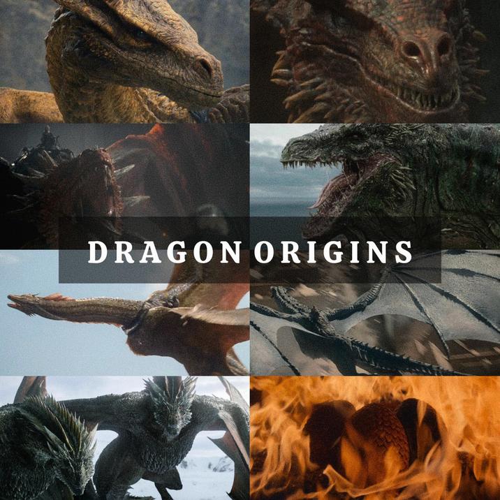 DRAGON ORIGINS