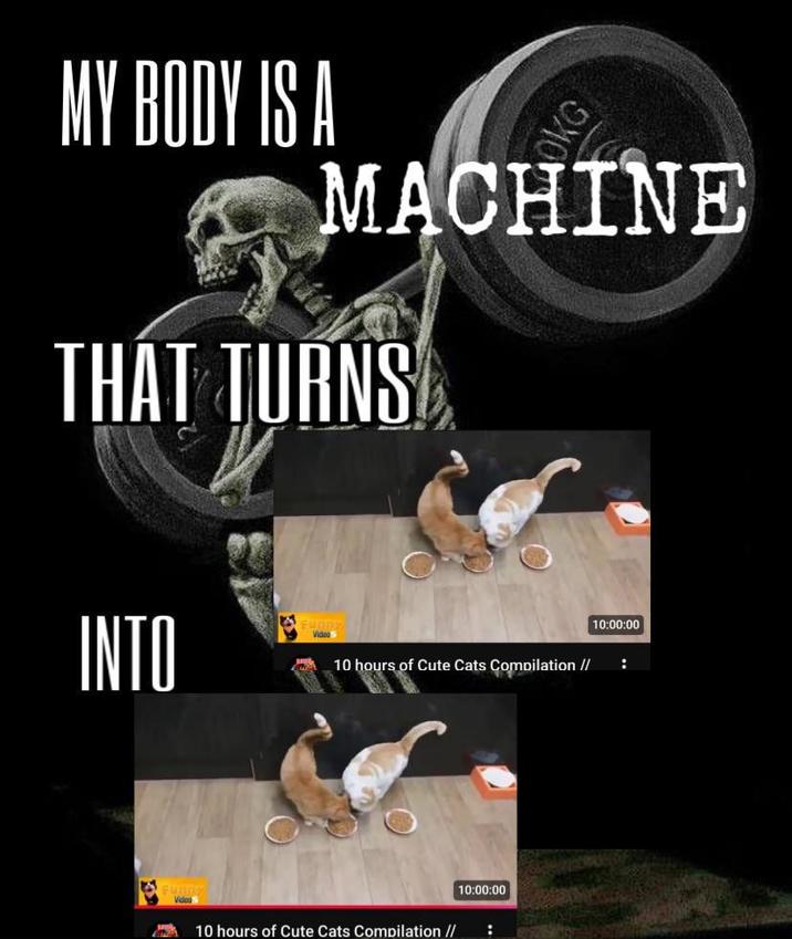 MY BODY IS A OKG MACHINE THAT TURNS INTO Funny 10:00:00 Video S 10 hours of Cute Cats Compilation // : Funny Vidoo 10:00:00 10 hours of Cute Cats Compilation // :