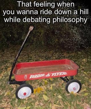 That feeling when you wanna ride down a hill while debating philosophy RADIO & FLYER