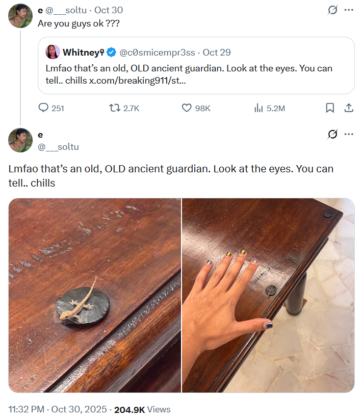 X user @___soltu posted a tweet that read, "Are you guys ok ???," and gathered over 90,000 likes in four days. The user also replied to their own tweet with a photo of a lizard and a joke mimicking the original viral phrase.